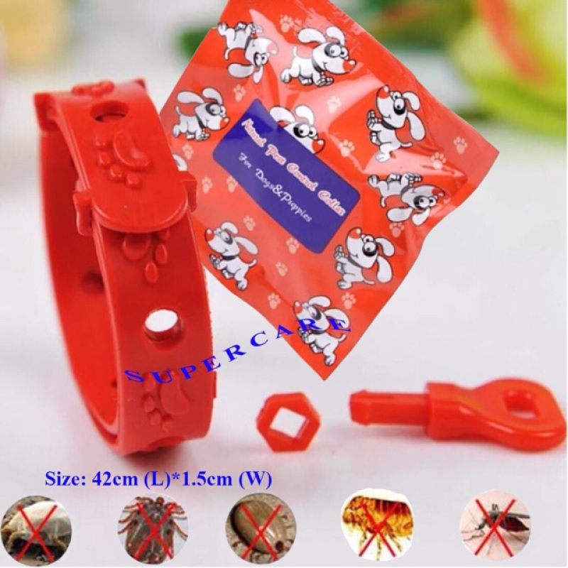 VÒNG CỔ CHỐNG BỌ CHÉT , VE, RẬN CHO CHÓ ( SIZE LỚN )