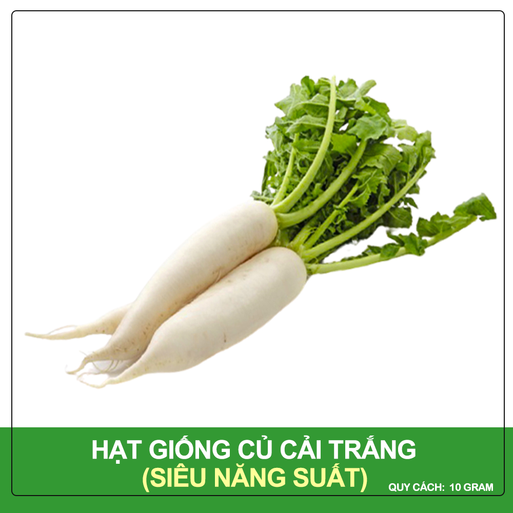 Hạt giống củ cải trắng phú nông gói 20 gram