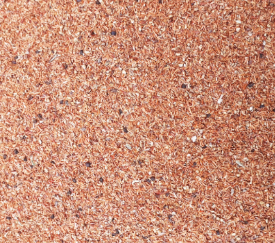 Hạt giống cây bạch đàn trắng - gói 50gram