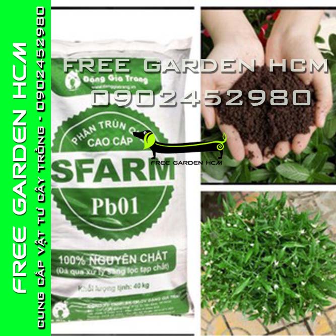 BAO 40kg PHÂN TRÙN QUẾ SFARM
