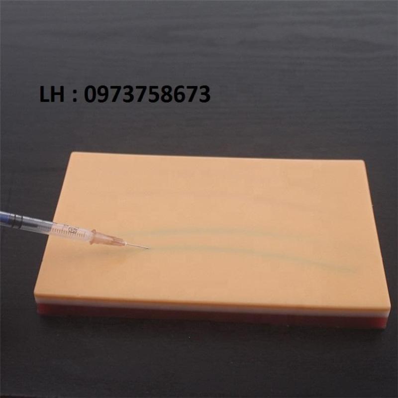 Mô hình thực hành tiêm tĩnh mạch