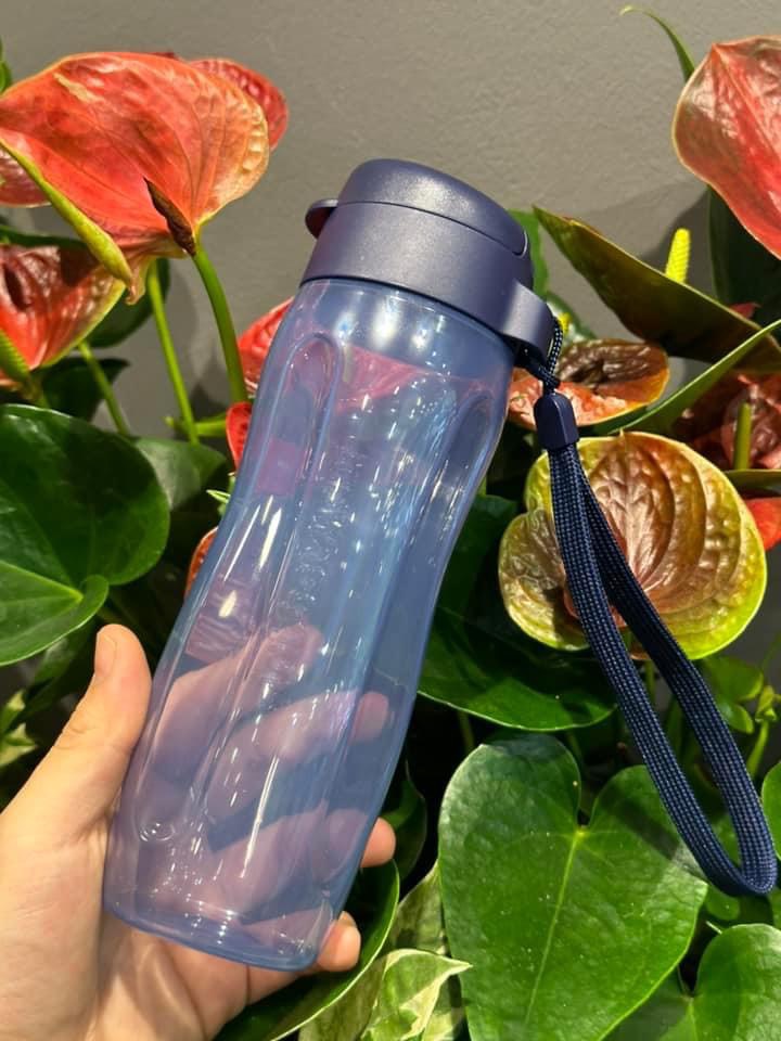 Bình nước ECO BOTTLE GEN II 500ml