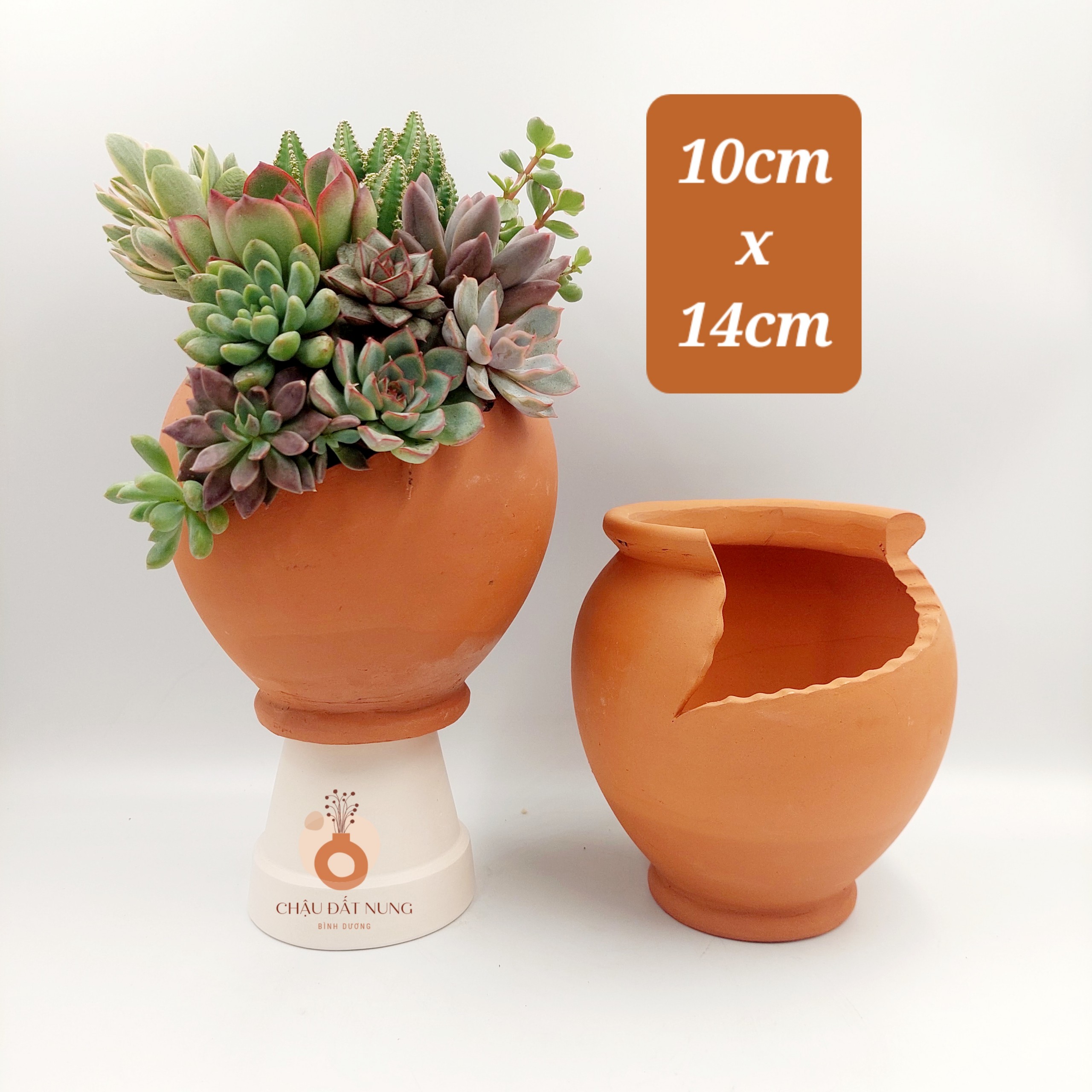 Chậu đất nung - Bình hoa 825, miệng chậu 8cm, chiều cao 25cm