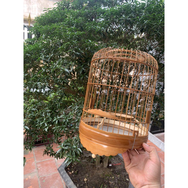 Lồng khuyên xử lý size 22 x 30cm LC29