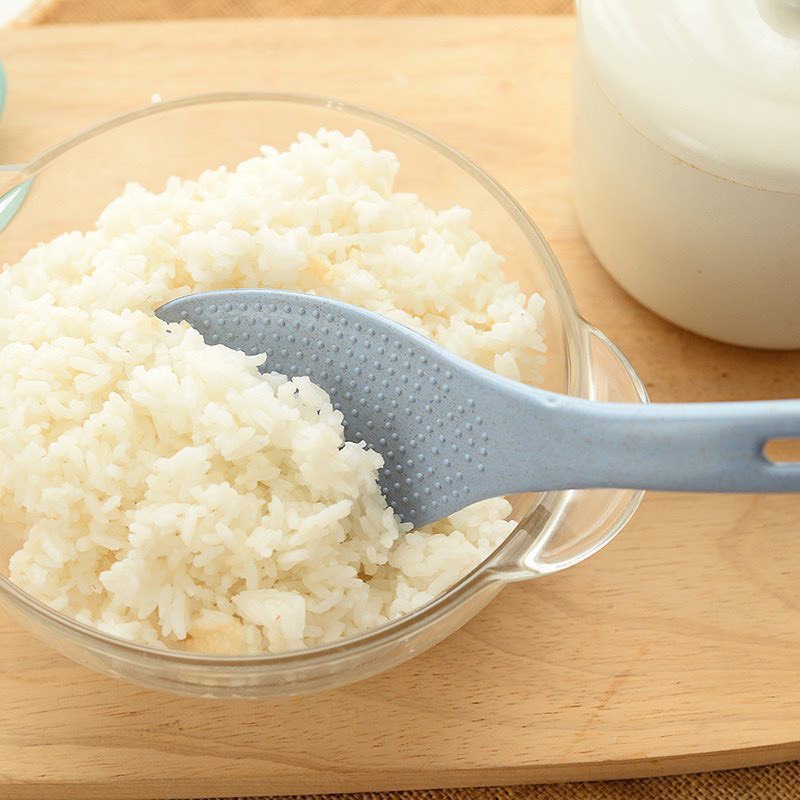 Vá Muôi Cơm Lúa Mạch An Toàn Màu Sắc Xinh Xắn