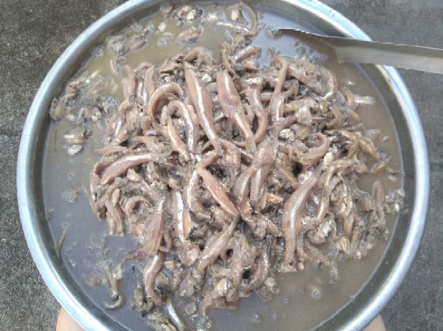 MẮM CÁI CÁ CƠM BAO NGON
