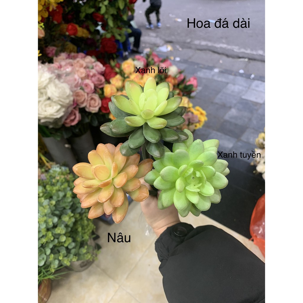 Hoa Đá Giả, Hoa Sen Đá Giả Cành Dài