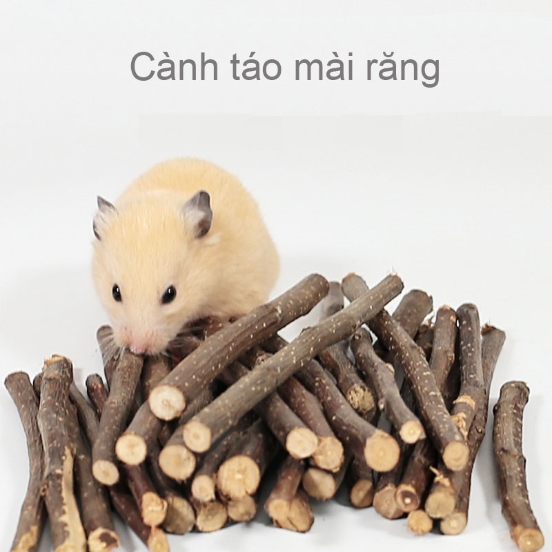 [Hoàn tiền 10%]Cành táo mài răng cho Hamster