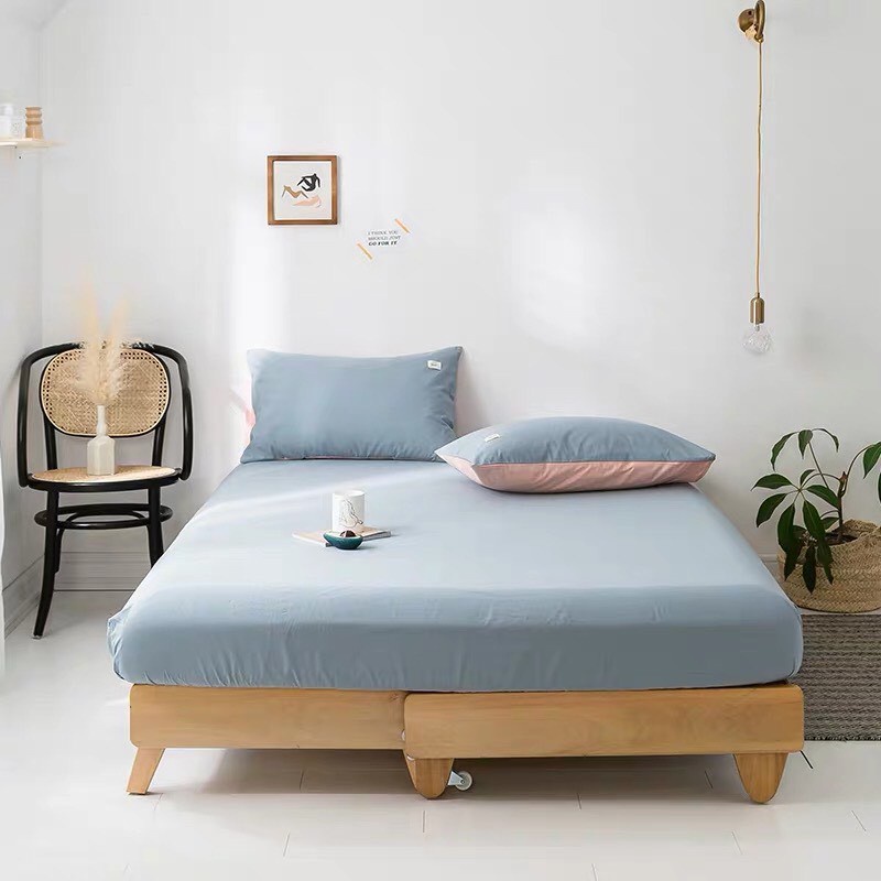 Sét ga gối cotton Tici phong cách hàn Quốc