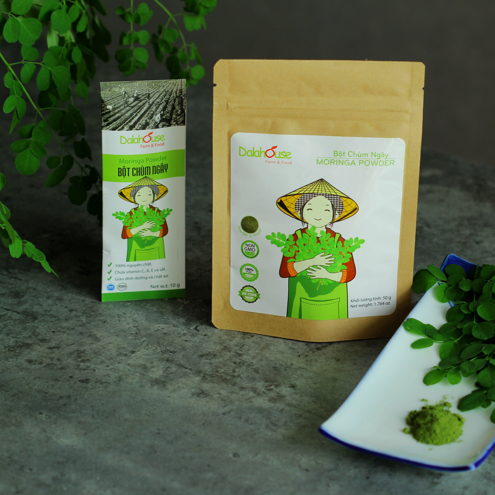Bột Chùm Ngây Sấy Lạnh Dalahouse 50g / 60g