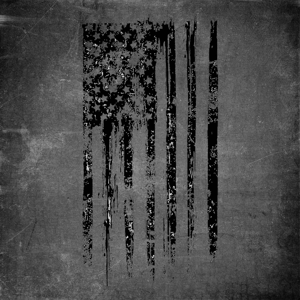Áo Thun American Flag