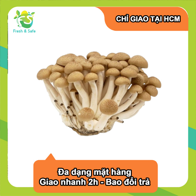 [Chỉ Giao HCM] Nấm Linh Chi Nâu - 125g