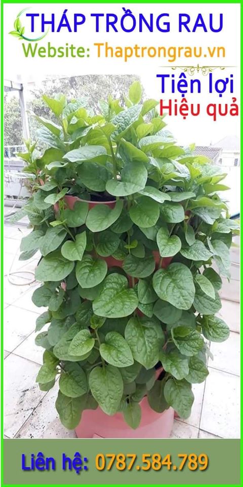 Tháp trồng rau hữu cơ Eco Việt Nam
