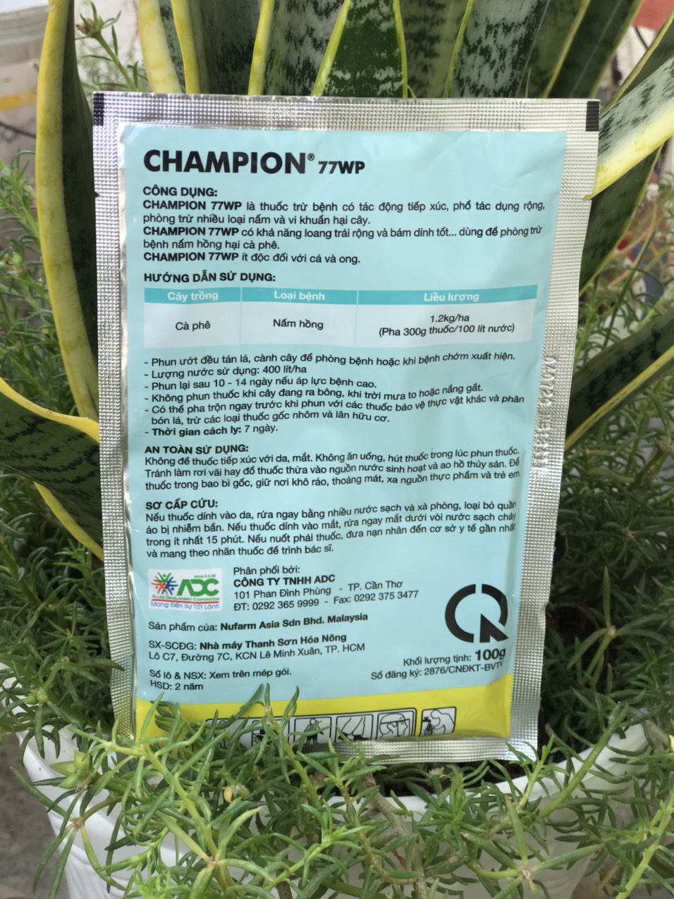 Champion 77WP Đặc tri nấm hồng và thán thư 100gr