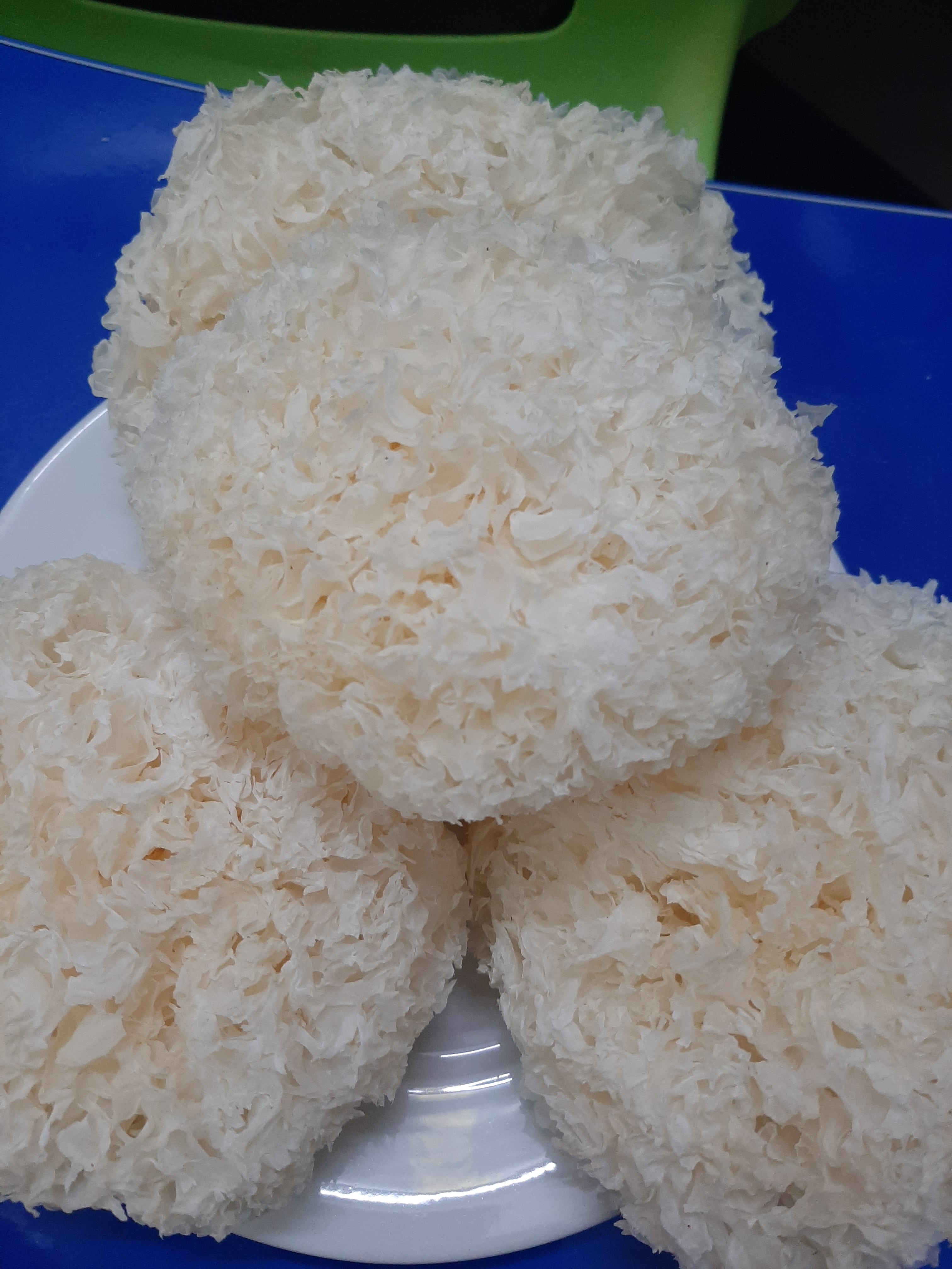 Nấm tuyết khô ( Ngân nhĩ ) 100g