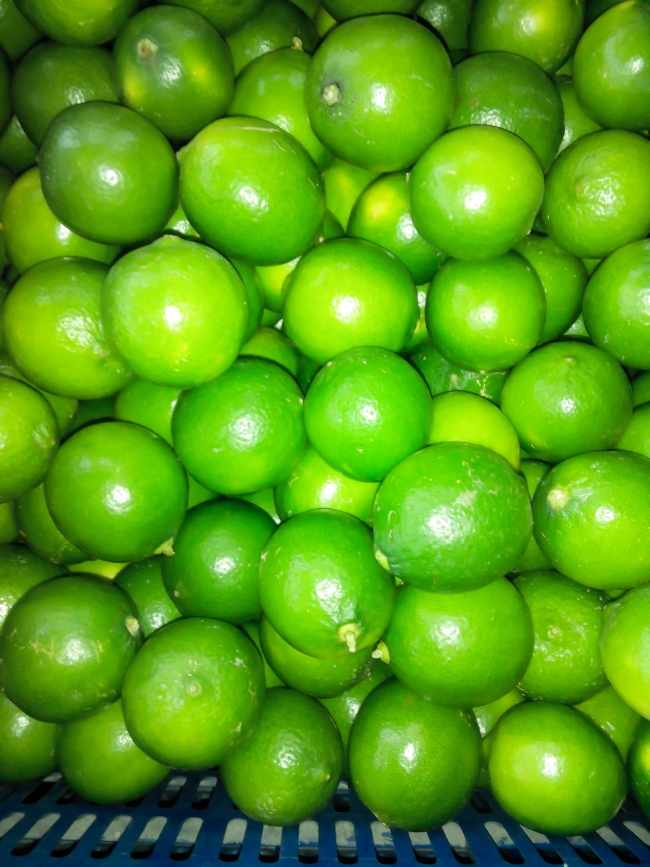 CHANH KHÔNG HẠT-OGRANIC (VĨNH LONG) 1Kg