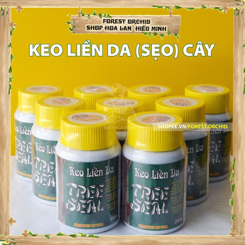 Keo liền sẹo Tree Seal USA Morrisons nhập khẩu