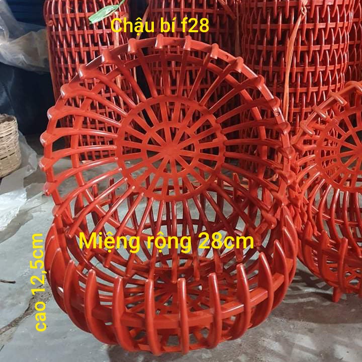 Chậu bí f28,chậu nhựa trồng lan,giỏ treo lan