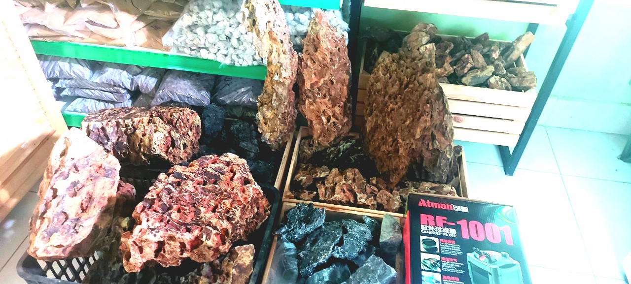 Đá Kẹp Kem 1 Kg - Đá Trang Trí Bể Cá Cảnh, Bể Thủy Sinh, Bán Cạn