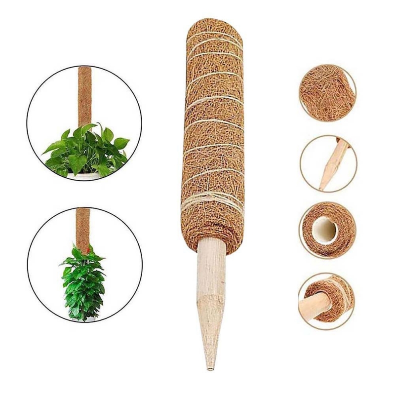 Trụ cột xơ dừa cho cây leo bám cột 30/40/50cm-HAUSE