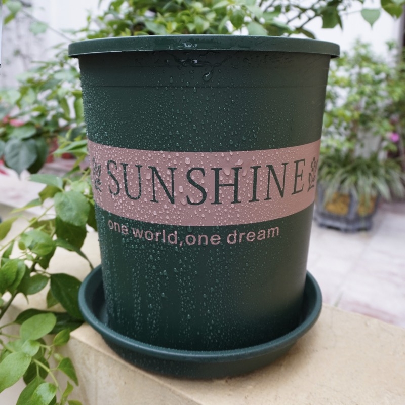 Chậu nhựa trồng cây Sunshine size đại- Chậu kèm đĩa lót- Chậu trồng cây ăn quả, chậu trồng hoa, cây cảnh- Kích thước 32cmx30cmx25cm