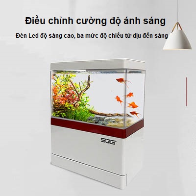 Bể cá thủy sinh mini trang trí bàn làm việc