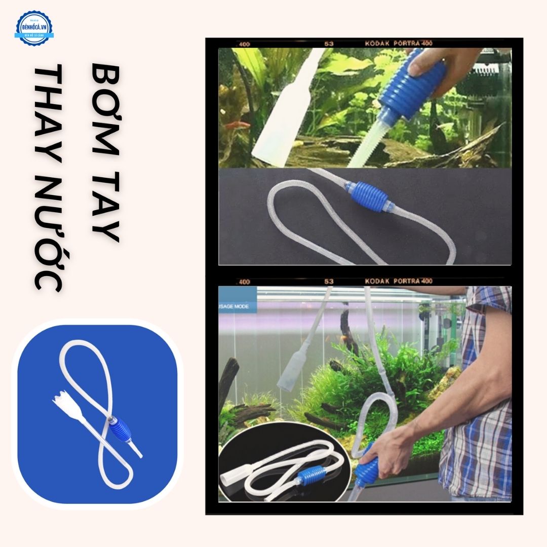 Bơm tay thay nước cho hồ cá