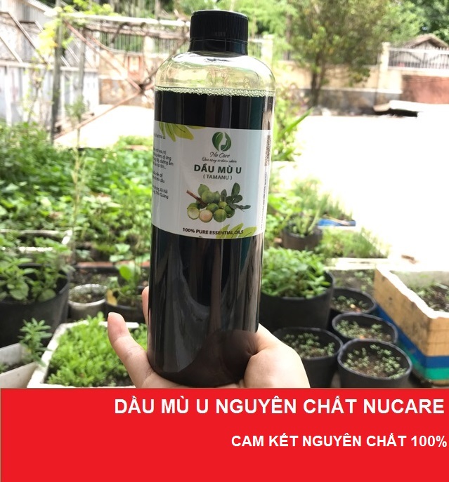 [HCM]Dầu Mù U Xanh Nguyên Chất Nu Care 500ml giúp làm dịu vết bỏng giảm sẹo chăm sóc da