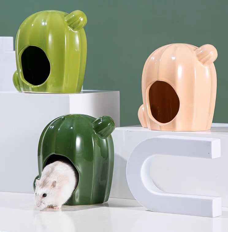 Nhà sứ xương rồng dành cho hamster - T3 PETS SHOP