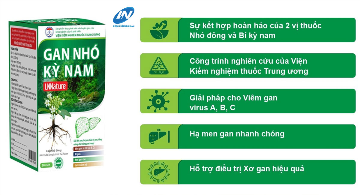 gan nhó kỳ nam - date mới 2026
