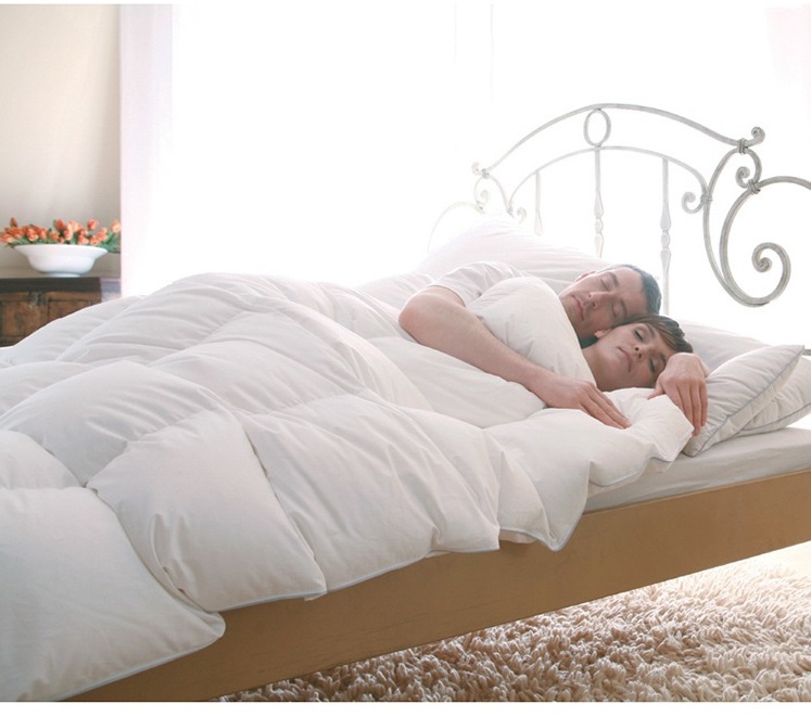 L-1088 Ruột chăn lông vũ cao cấp hàng nhập 200*230cm, 150*200 loại 2kg, 3kg, 4kg