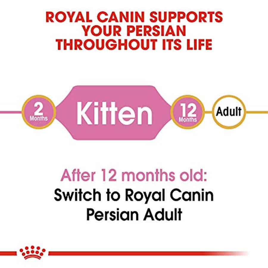 Hạt Cho Mèo Con Ba Tư Royal Canin Persian Kitten