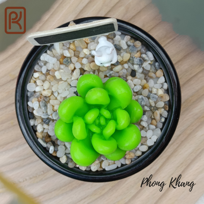 Khuôn silicon 4d Phong Khang làm rau câu hình sen đá