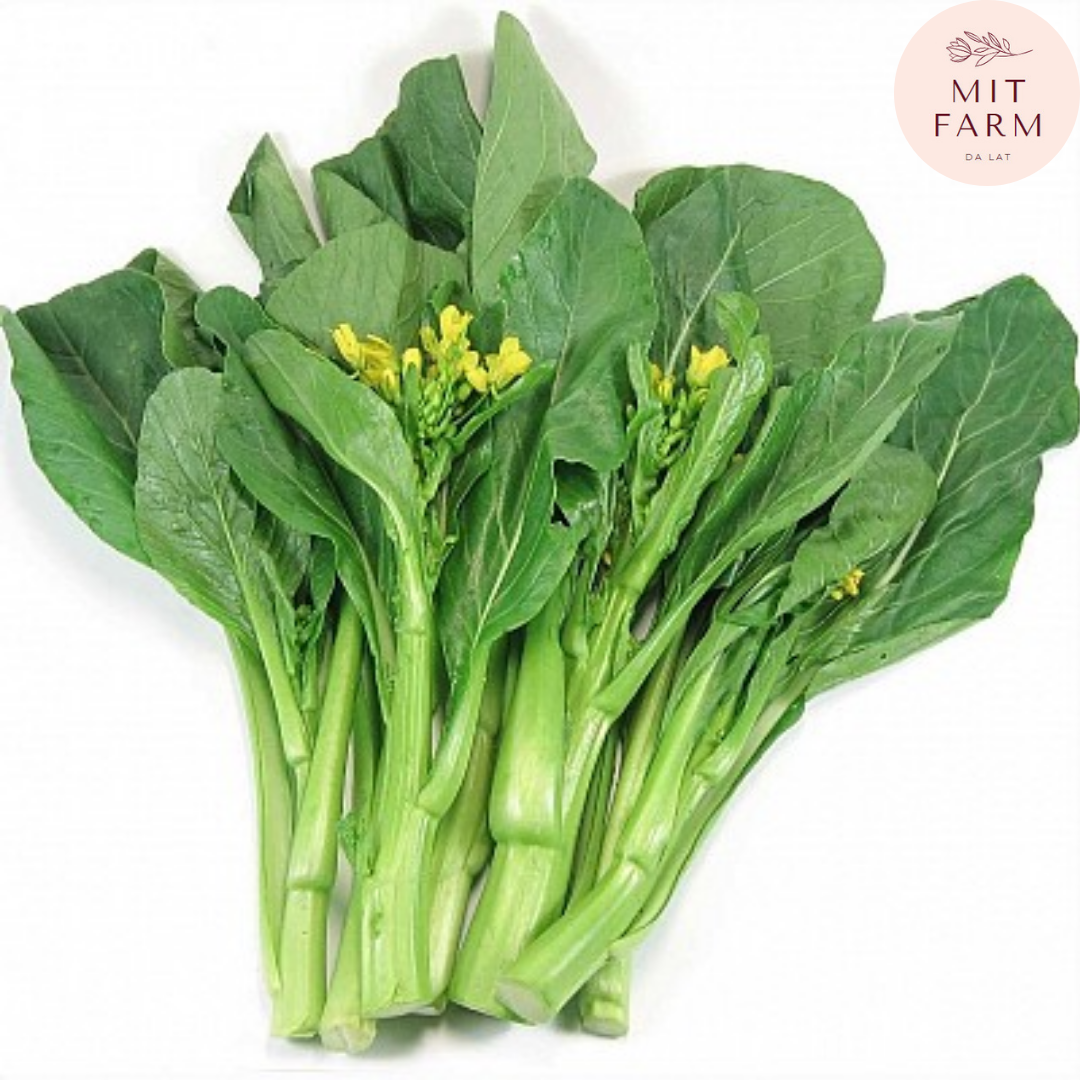 Hạt giống cải Ngồng (Cải ngọt bông)