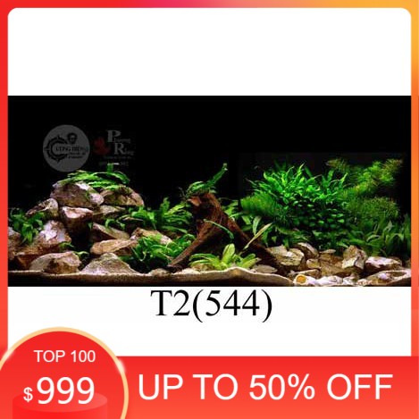 Tranh 3D dán bể cá cảnh hồ thuỷ sinh