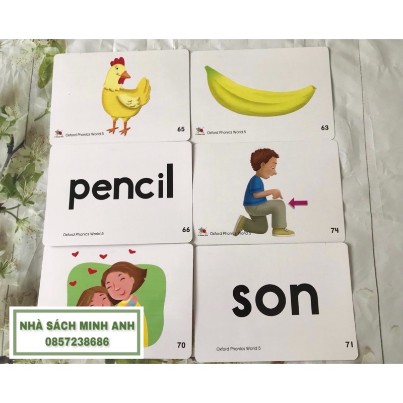 Flashcard OXFORD PHONICS WORLD 5-96 thẻ (khổ A5-cán bóng)