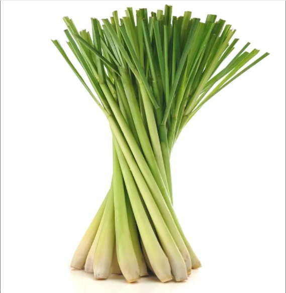 [Chỉ Giao HCM] Sả Cây - 100g