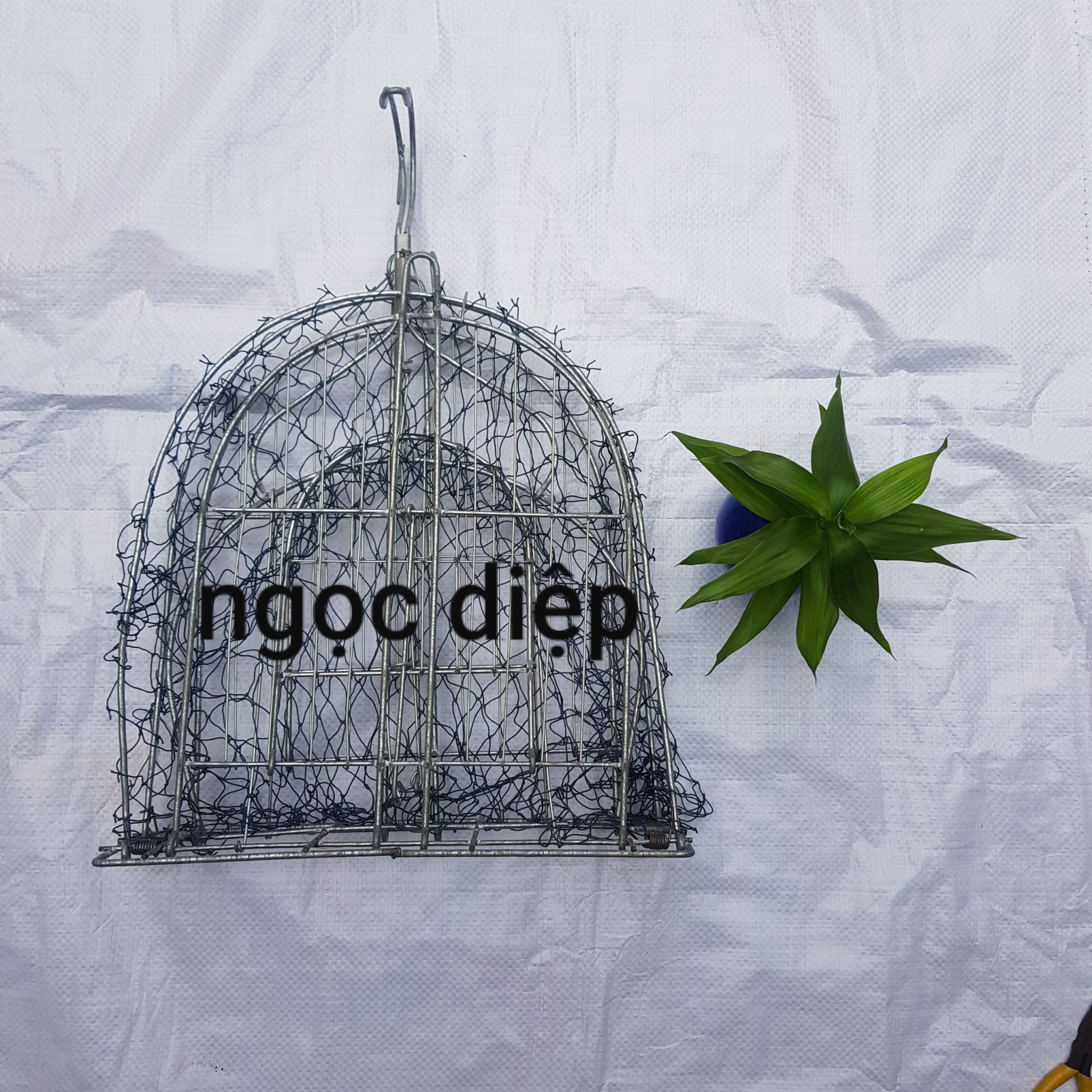Bộ mẹt treo bẫy chim quốc bịp