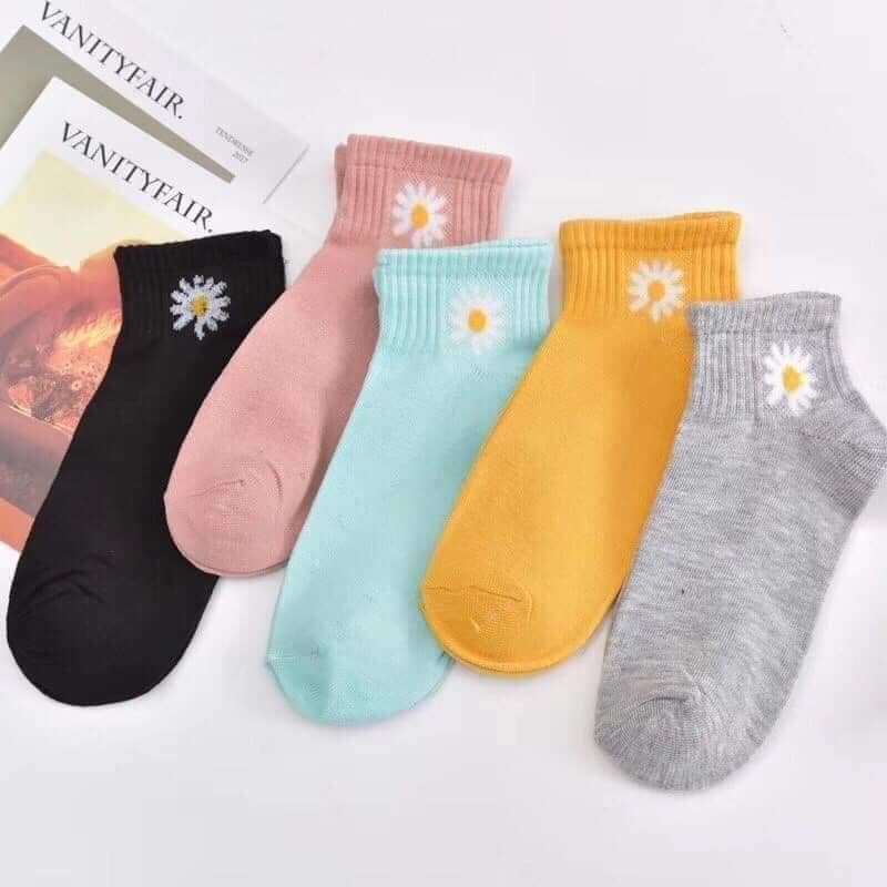 Combo 10 đôi TẤT HOA CÚC HOTTREND