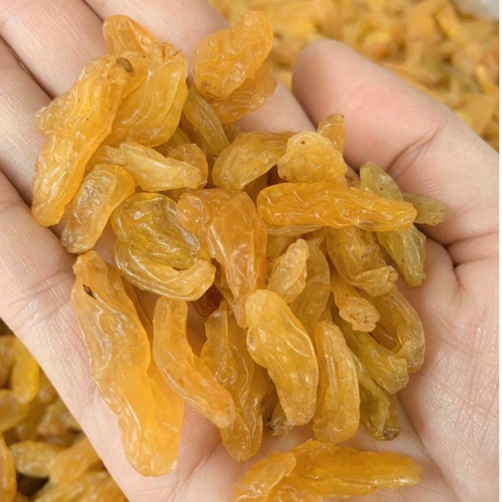 1 kg- nho vàng ấn sấy khô