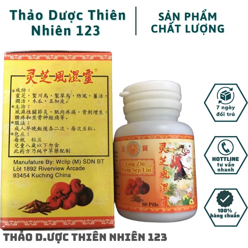 Linh chi phong thấp cô tiên – hỗ trợ các vấn đề về x.ương khớp
