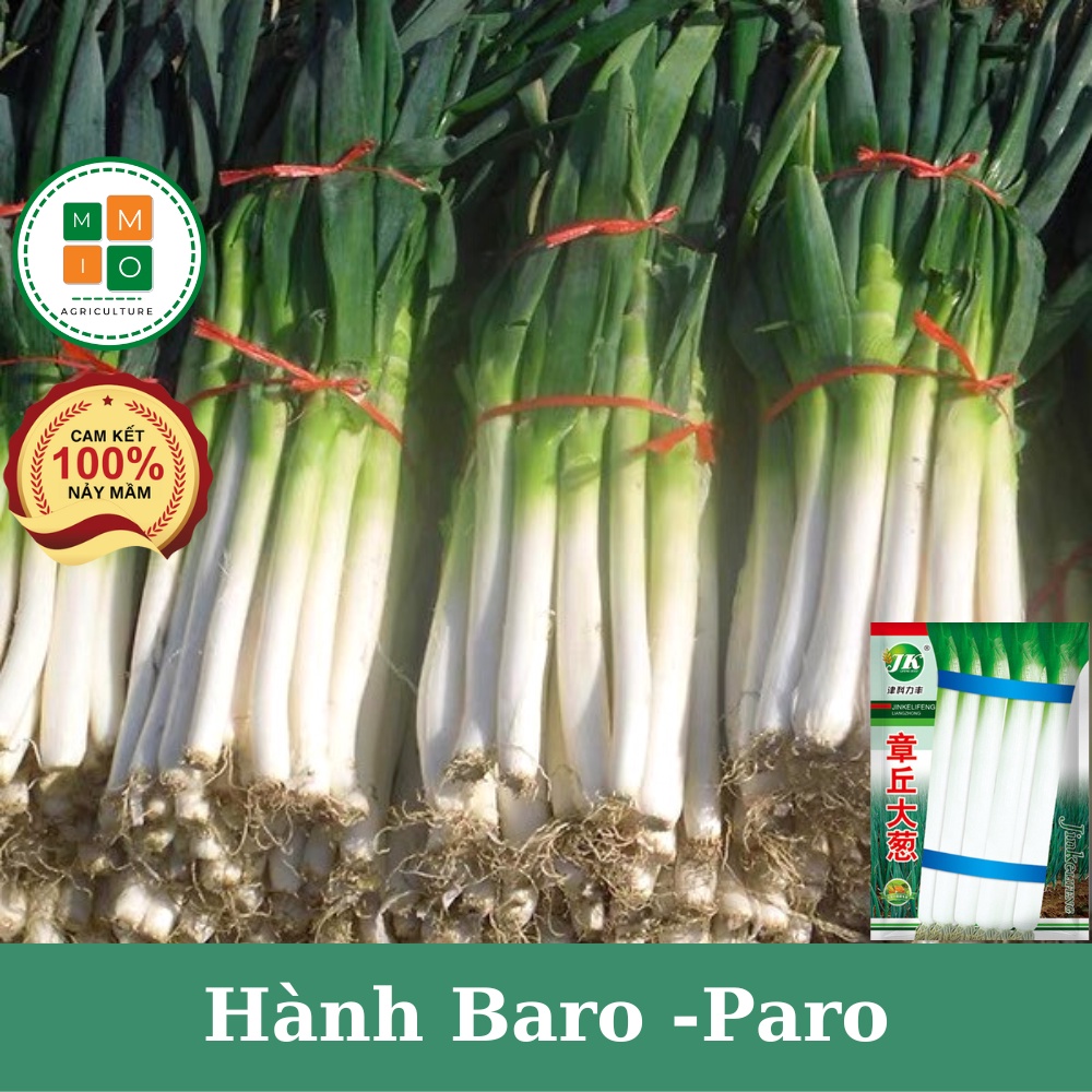 Hạt giống hành baro - hành paro khổng lồ