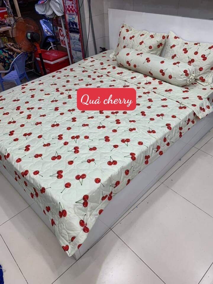 Ga Trải Giường 1m6x2m ,quả đào cam