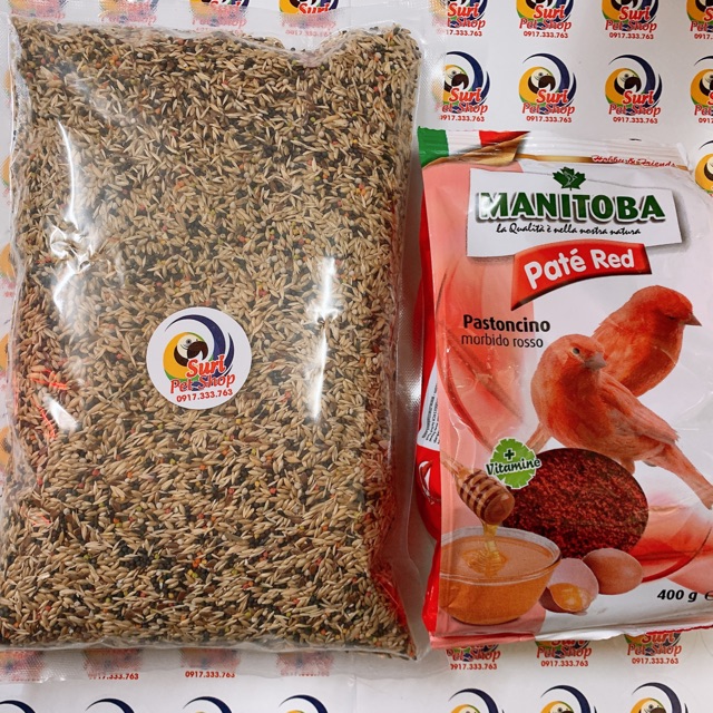 Combo Hạt và pate đỏ hàng Ý cho chim Yến hót