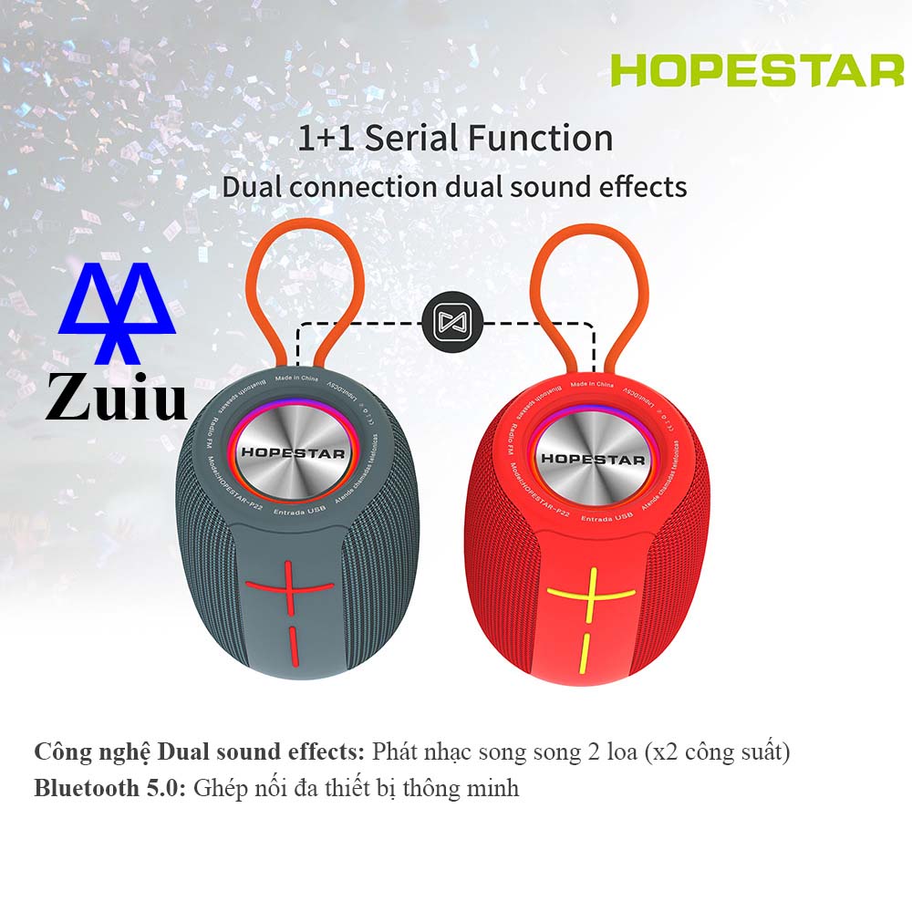 Loa Bluetooth HOPESTAR P22