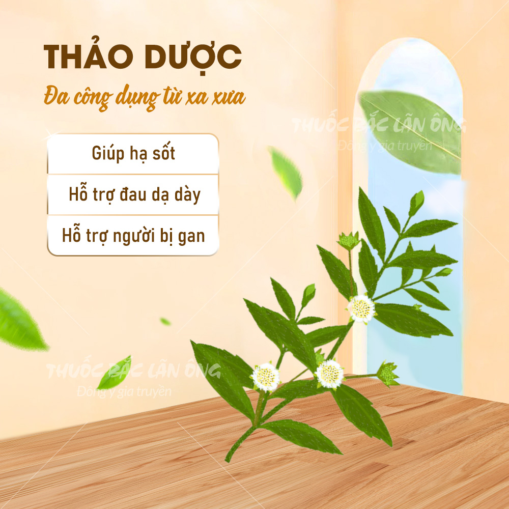 Bột nhọ nồi 500g (Cỏ mực)