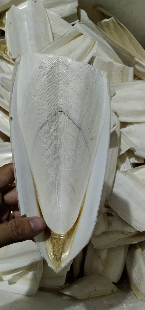 1/2 MIẾNG NAN MỰC SIÊU TO CHO CHIM,VẸT