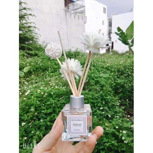 TINH DẦU NƯỚC HOA ĐỂ PHÒNG