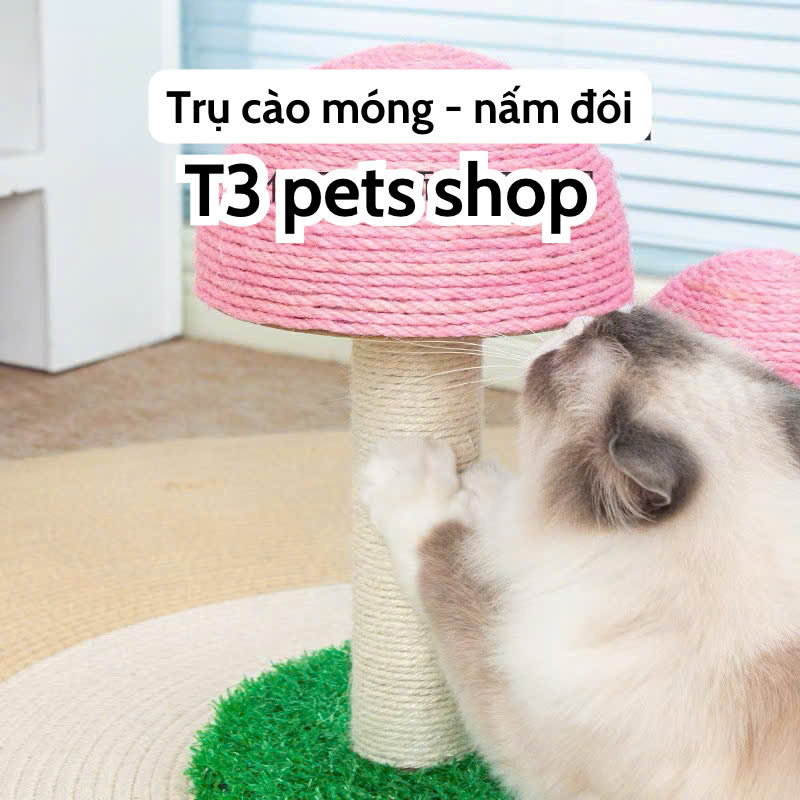 trụ mèo ( CAT TREE ) hình cây nấm dành cho bé iu - T3 PETS SHOP