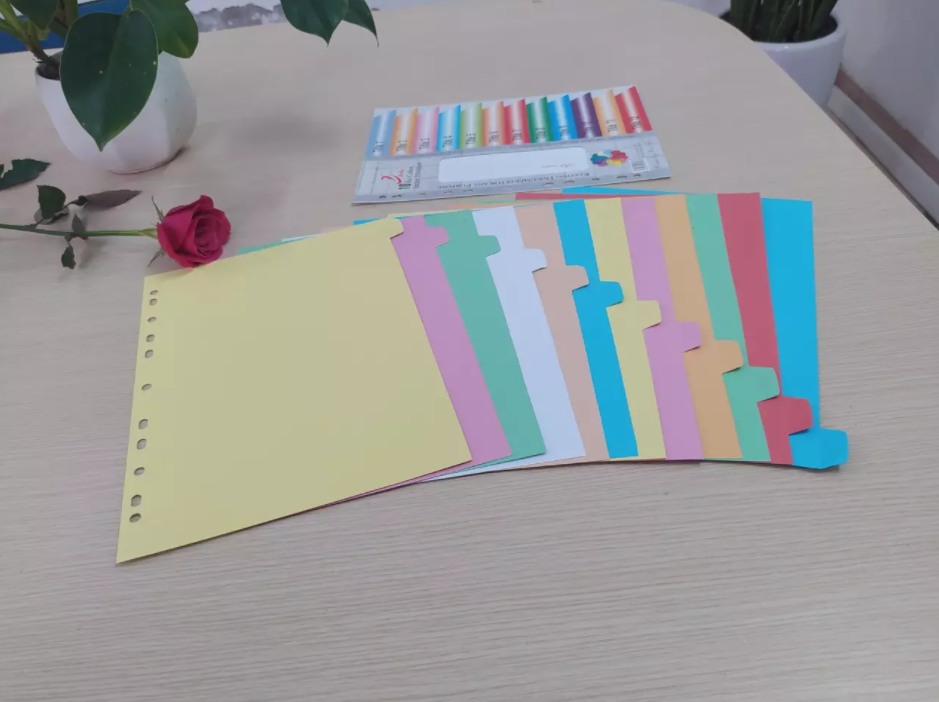 Chia File nhựa đánh số 1 - 12